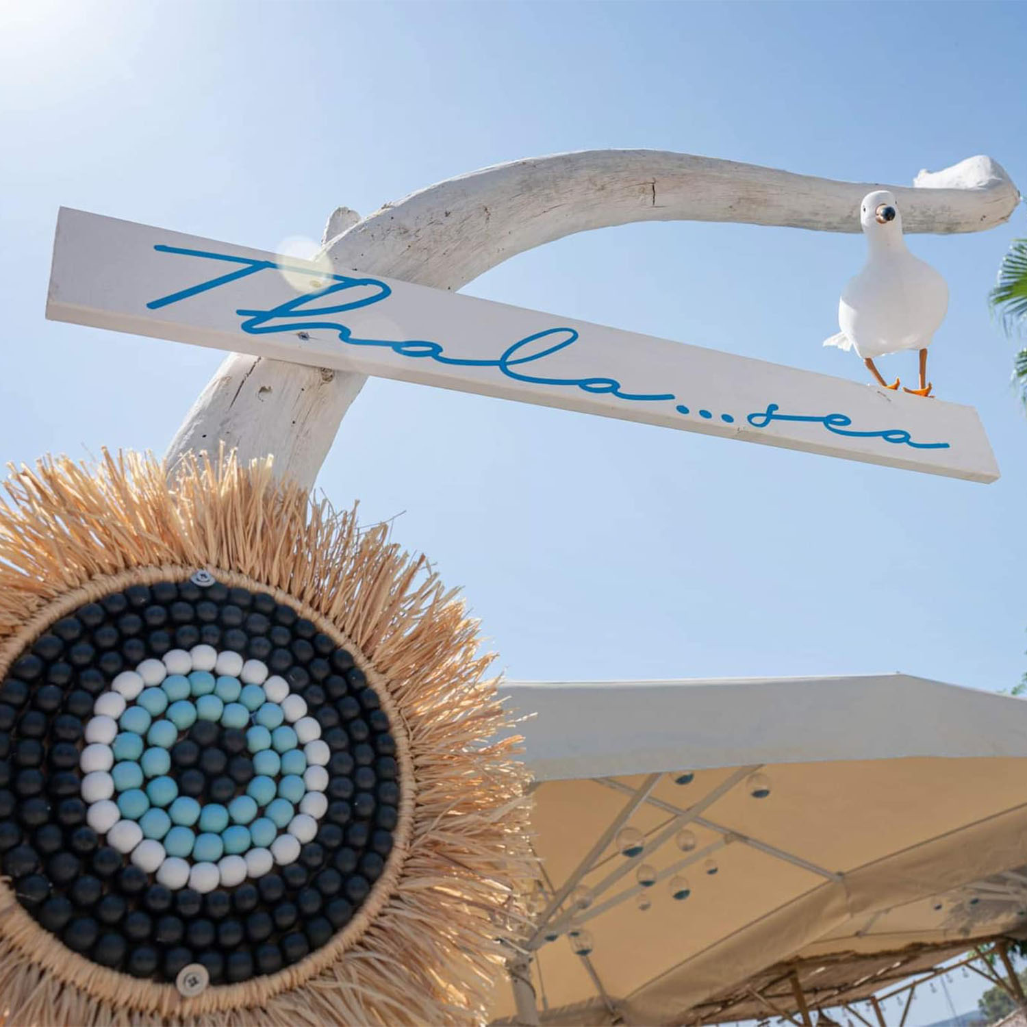 Παραλία - Ξενοδοχείο Παύλου Νεώριο Πόρος